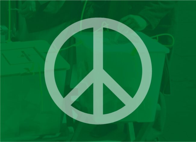 Political and Electoral Violence, Education, and Resolution Project