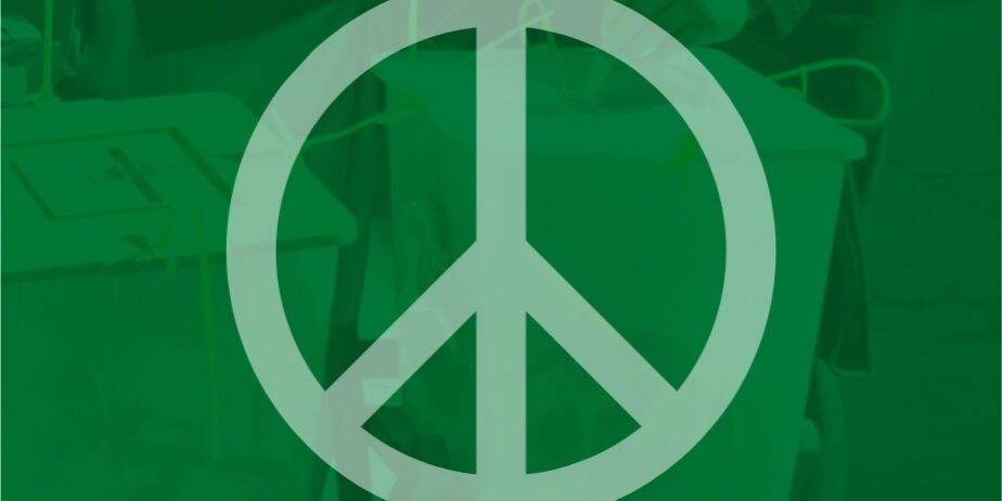 Political and Electoral Violence, Education, and Resolution Project