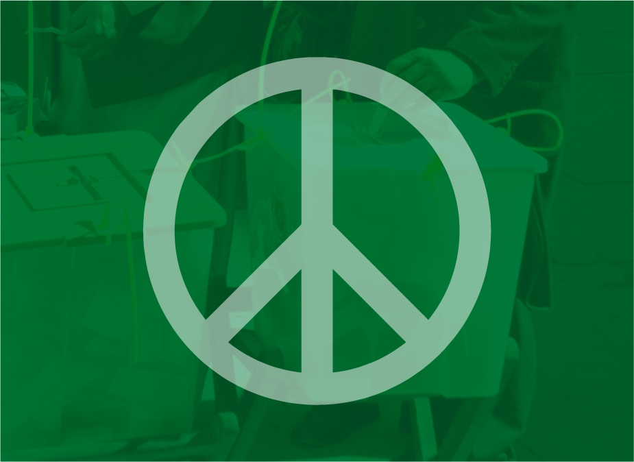 Political and Electoral Violence, Education, and Resolution Project