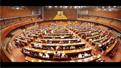 Parliament Watch